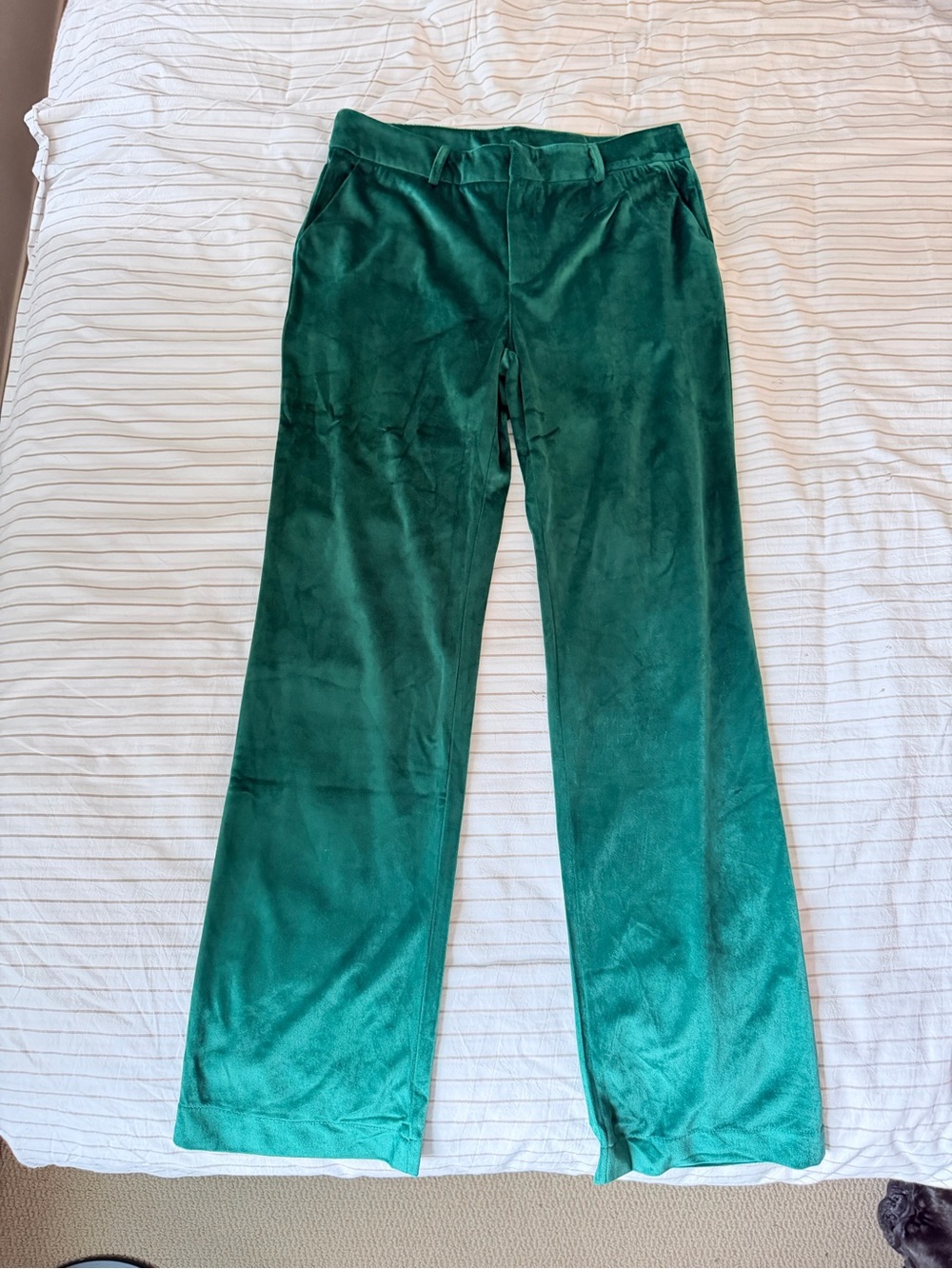 Zara Women L Dark Green Velour Trousers